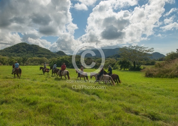 On the Trail at La Ensenada