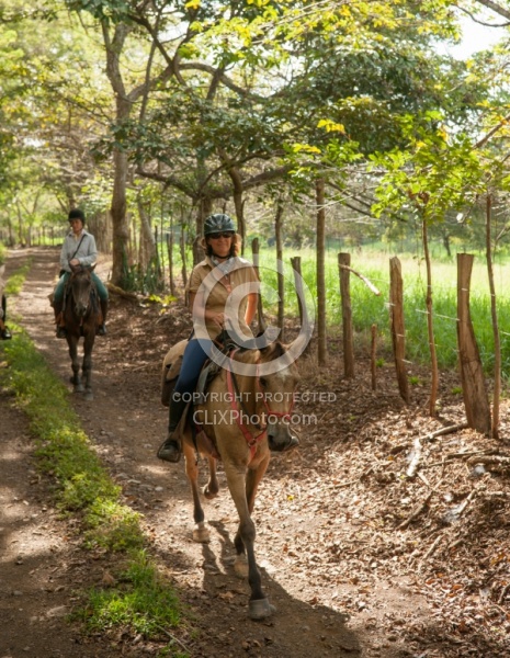 On the Trail at La Ensenada