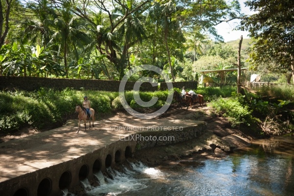 On the Trail at La Ensenada