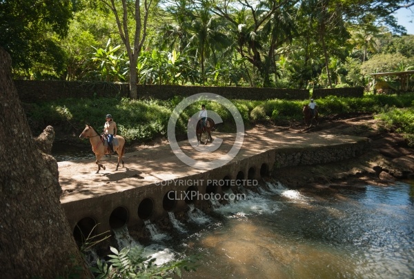 On the Trail at La Ensenada