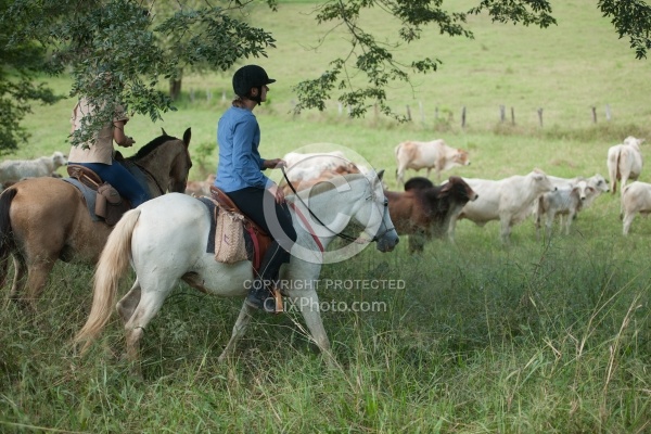 On the Trail at La Ensenada