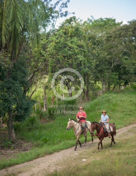 On the Trail at La Ensenada
