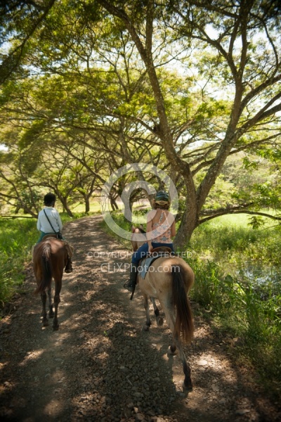 On the Trail at La Ensenada