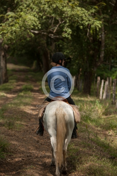 On the Trail at La Ensenada