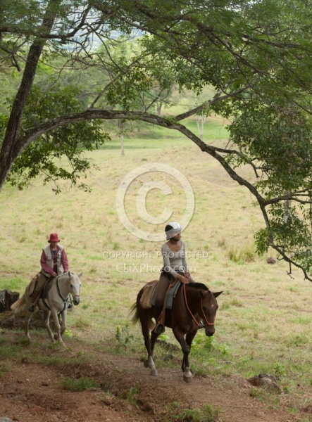 On the Trail at La Ensenada