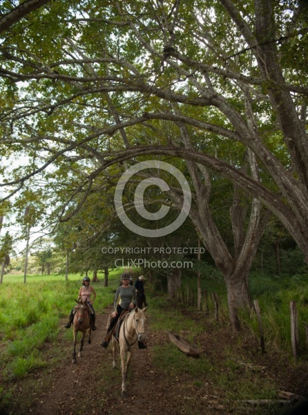 On the Trail at La Ensenada