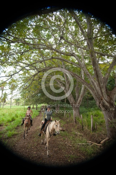 On the Trail at La Ensenada