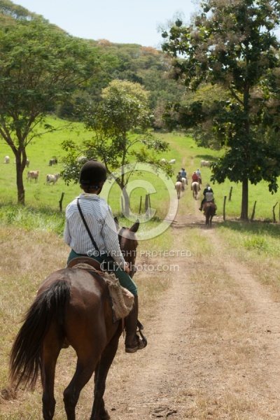 On the Trail at La Ensenada