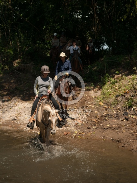 On the Trail at La Ensenada