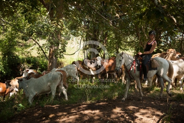 On the Trail at La Ensenada