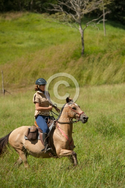 Canter at La Ensenada