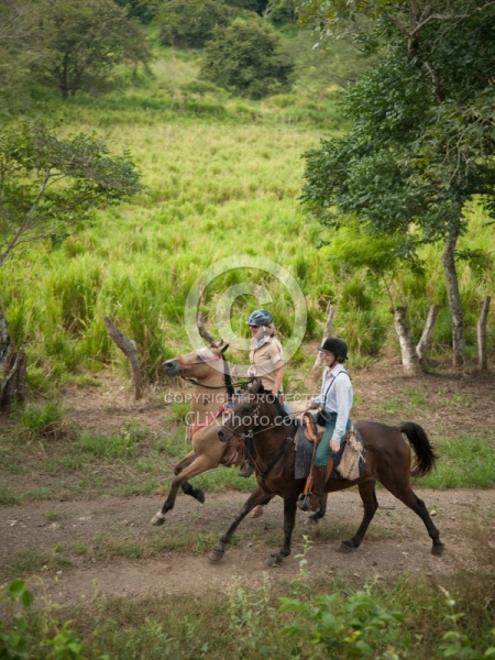 Canter at La Ensenada
