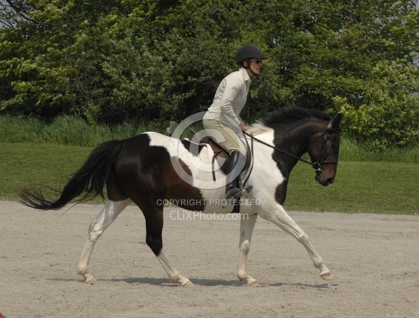 English Canter Work