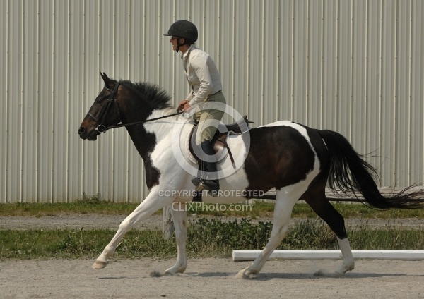 English Canter Work