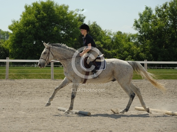 English Canter Work