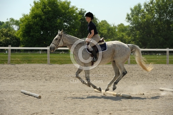 English Canter Work