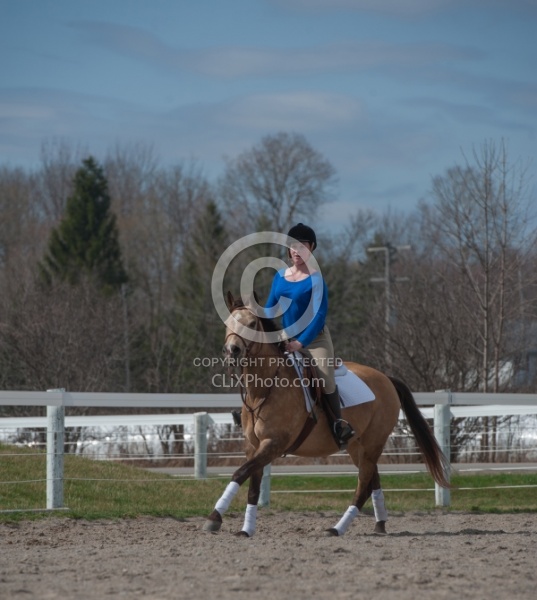 Quarter Pony being Ridden