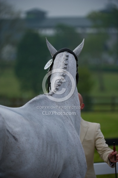 Button Braids on Mane