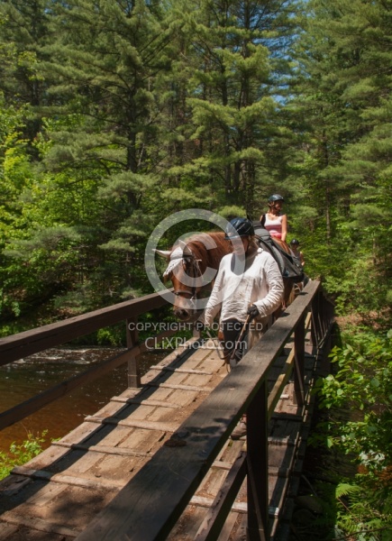 Fly Protection on the Trail