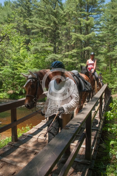 Fly Protection on the Trail