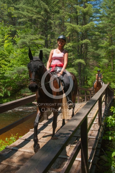 Fly Protection on the Trail