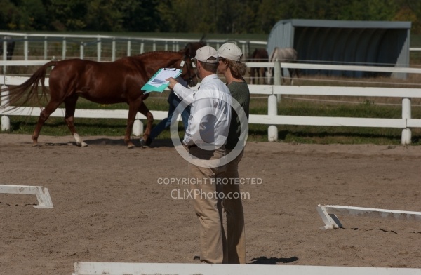 Hanoverian Inspection