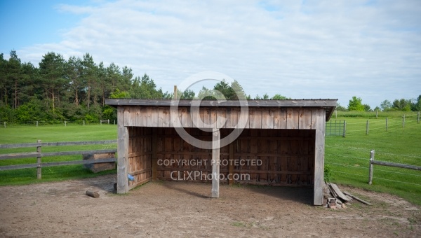Trail Riding Western Run in Shelter