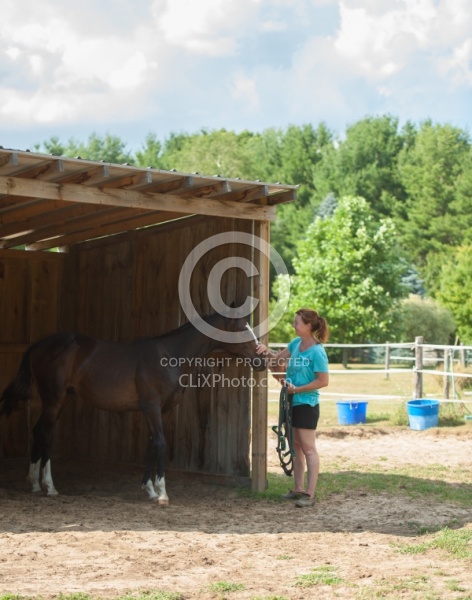 Oldenburg Run in Shelter