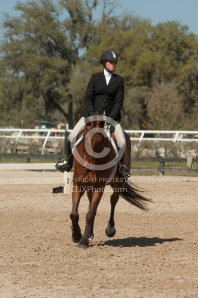 Hunter in Ring on Flat