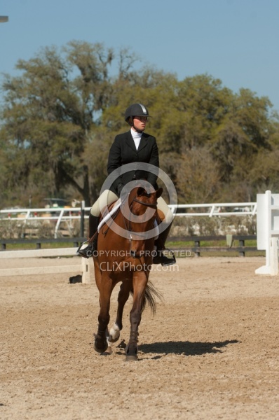 Hunter in Ring on Flat