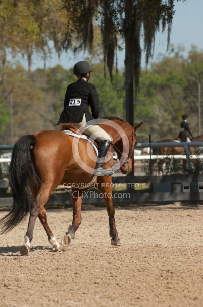 Hunter in Ring on Flat