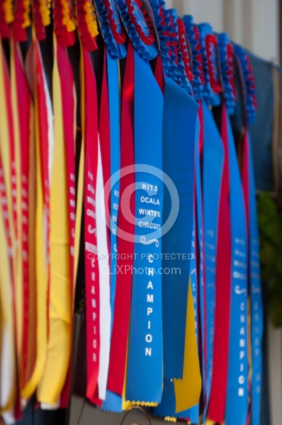 HITS March 08 Horse Show Ribbons