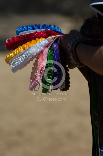 Horse Show Ribbons