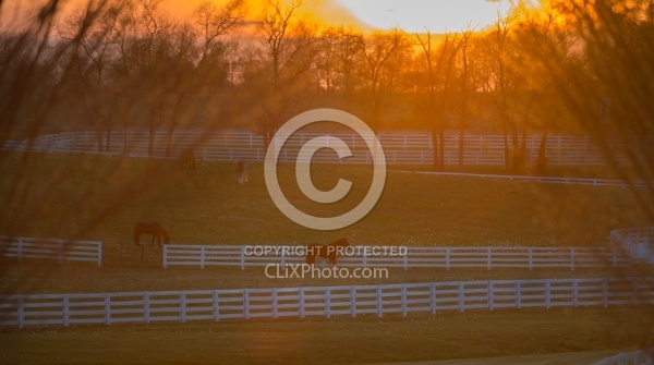 The Kentucky Horse Park at Sunset