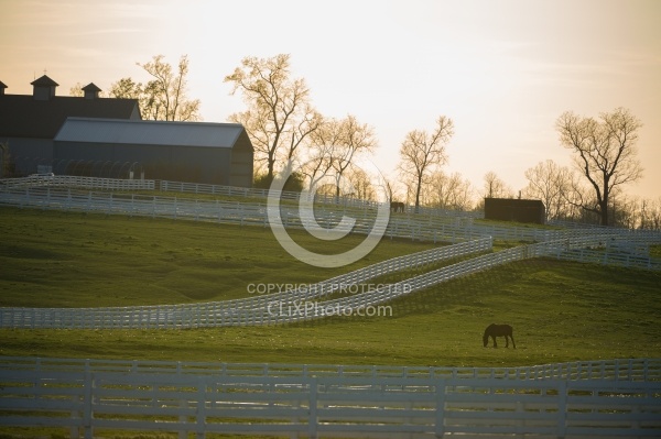 The Kentucky Horse Park at Sunset