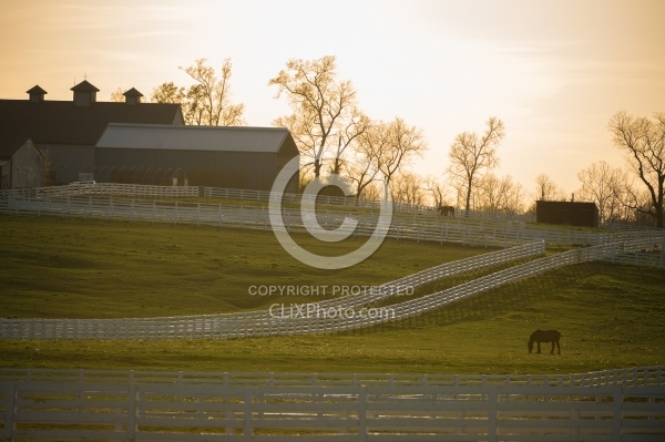 The Kentucky Horse Park at Sunset