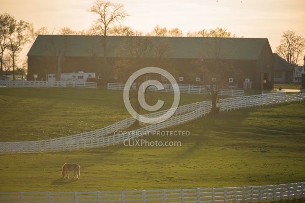 The Kentucky Horse Park at Sunset