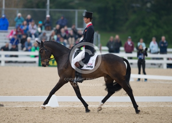 William Fox-Pitt and Bay My Hero Rolex 2014