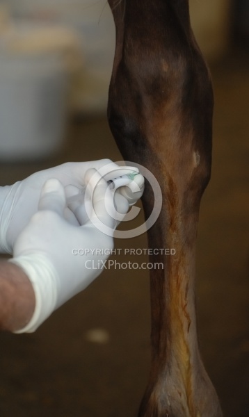 Joint Injection Joint Injections