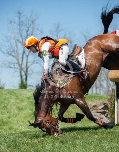Sharon White and Rafferty's Rules take a fall at Rolex 2014