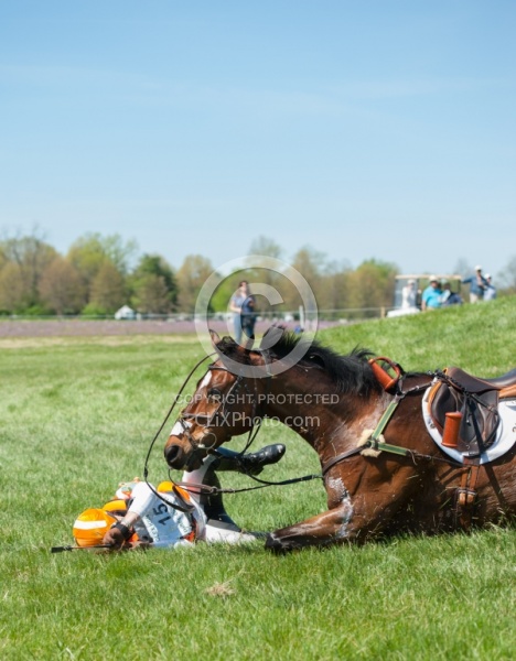 Sharon White and Rafferty's Rules take a fall at Rolex 2014