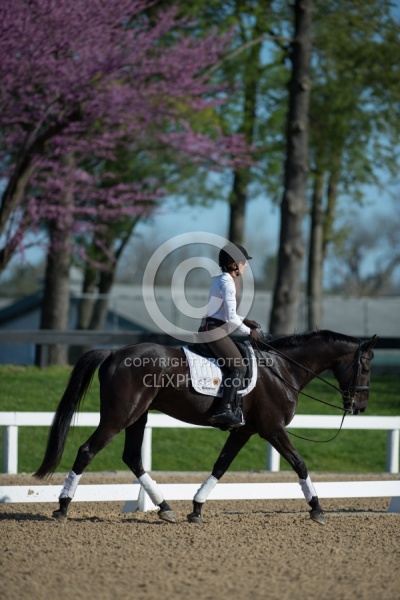 Gina Miles Schooling