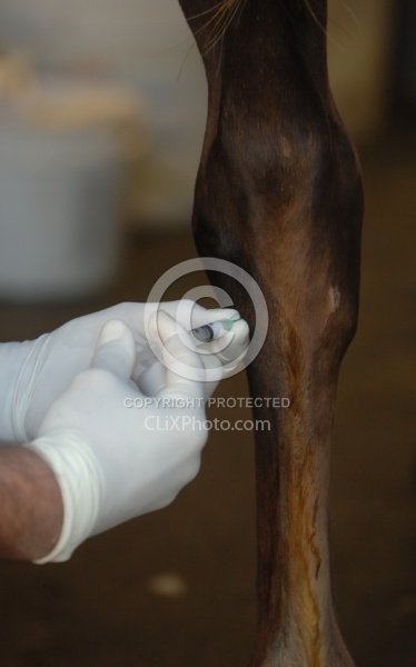 Joint Injection Joint Injections