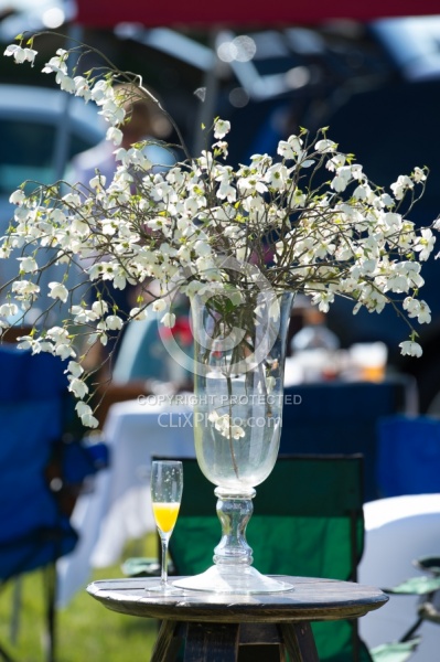 Tailgating Rolex 2014 Tailgating at Rolex