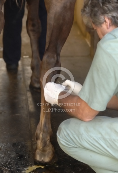 Joint Injection Joint Injections