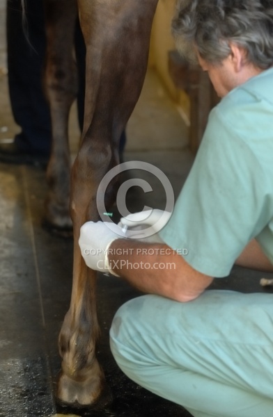 Joint Injection Joint Injections