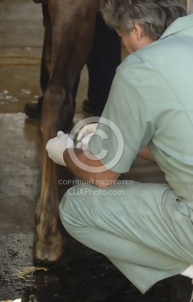 Joint Injection Joint Injections