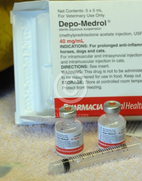 Joint Injection Joint Injections