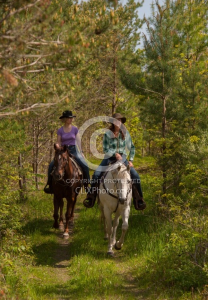 Trail Riding in the Ganny, Anne vavra Trail Riding Spring Summer