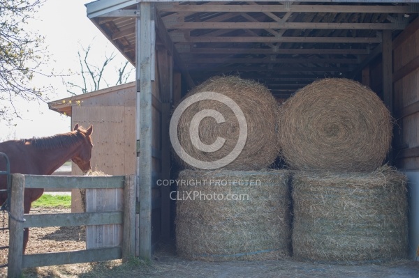Storing Round Bales